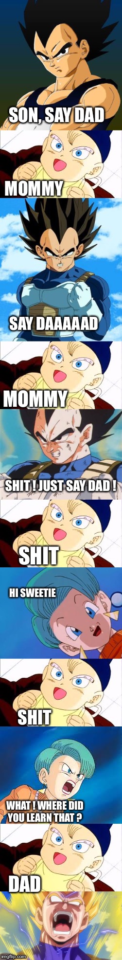 Angry father |  SON, SAY DAD; MOMMY; SAY DAAAAAD; MOMMY; SHIT ! JUST SAY DAD ! SHIT; HI SWEETIE; SHIT; WHAT ! WHERE DID YOU LEARN THAT ? DAD | image tagged in dragon ball z,shit,baby | made w/ Imgflip meme maker