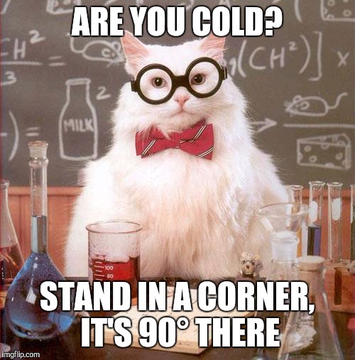Science Cat | ARE YOU COLD? STAND IN A CORNER, IT'S 90° THERE | image tagged in science cat | made w/ Imgflip meme maker