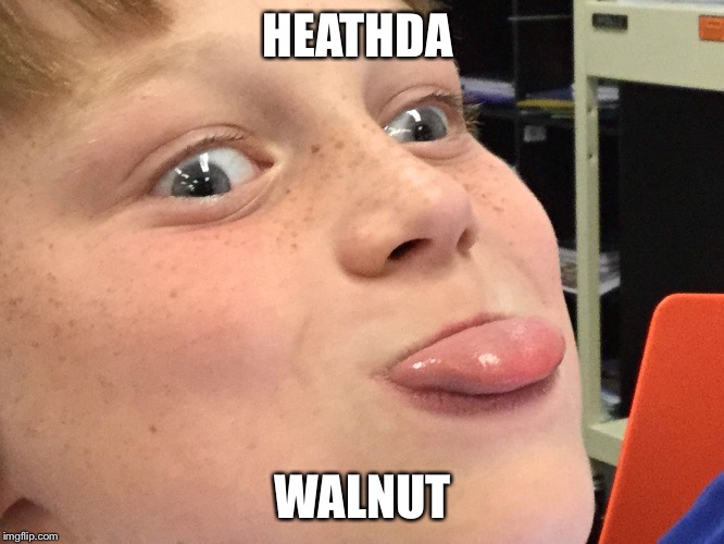 HEATHDA; WALNUT | image tagged in heathdawalnut | made w/ Imgflip meme maker