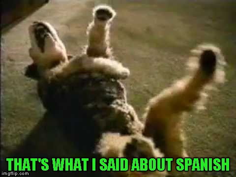 THAT'S WHAT I SAID ABOUT SPANISH | made w/ Imgflip meme maker