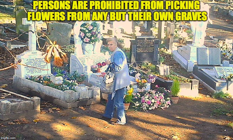 Don’t Pick the Flowers | PERSONS ARE PROHIBITED FROM PICKING FLOWERS FROM ANY BUT THEIR OWN GRAVES | image tagged in flowers,graveyard | made w/ Imgflip meme maker