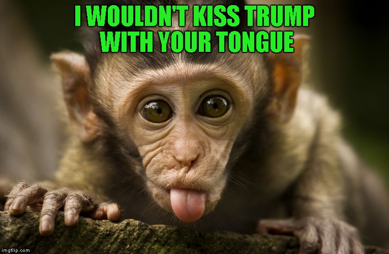 I WOULDN'T KISS TRUMP WITH YOUR TONGUE | made w/ Imgflip meme maker