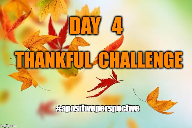 Leaves | DAY   4; THANKFUL  CHALLENGE; #apositiveperspective | image tagged in leaves | made w/ Imgflip meme maker