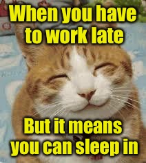 Happy cat | When you have to work late; But it means you can sleep in | image tagged in happy cat | made w/ Imgflip meme maker