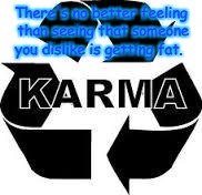 karma  | There's no better feeling than seeing that someone you dislike is getting fat. | image tagged in karma | made w/ Imgflip meme maker