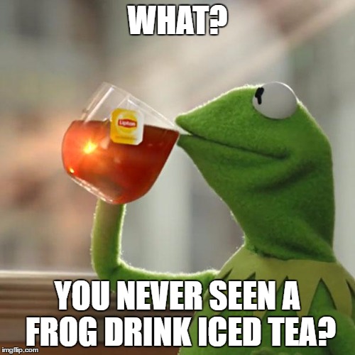 But That's None Of My Business Meme | WHAT? YOU NEVER SEEN A FROG DRINK ICED TEA? | image tagged in memes,but thats none of my business,kermit the frog | made w/ Imgflip meme maker