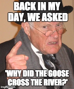 Back In My Day |  BACK IN MY DAY, WE ASKED; 'WHY DID THE GOOSE CROSS THE RIVER?' | image tagged in memes,back in my day | made w/ Imgflip meme maker
