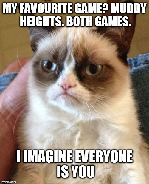 Grumpy Cat | MY FAVOURITE GAME? MUDDY HEIGHTS. BOTH GAMES. I IMAGINE EVERYONE IS YOU | image tagged in memes,grumpy cat | made w/ Imgflip meme maker