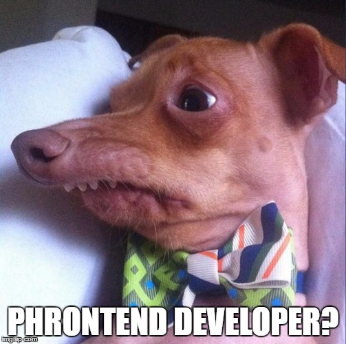 PHRONTEND DEVELOPER? | made w/ Imgflip meme maker