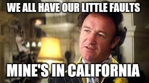 WE ALL HAVE OUR LITTLE FAULTS; MINE'S IN CALIFORNIA | image tagged in lex luthor | made w/ Imgflip meme maker