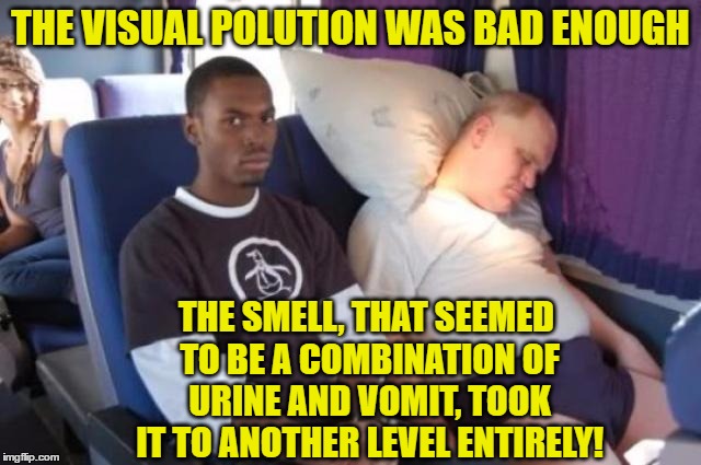 THE VISUAL POLUTION WAS BAD ENOUGH THE SMELL, THAT SEEMED TO BE A COMBINATION OF URINE AND VOMIT, TOOK IT TO ANOTHER LEVEL ENTIRELY! | made w/ Imgflip meme maker