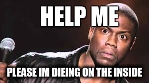 i need help | HELP ME; PLEASE IM DIEING ON THE INSIDE | image tagged in kevin hart | made w/ Imgflip meme maker