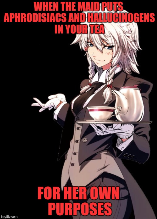 Here's Your Tea... | WHEN THE MAID PUTS APHRODISIACS AND HALLUCINOGENS IN YOUR TEA; FOR HER OWN PURPOSES | image tagged in cunning,witty,touhou,sakuya izayoi,maid | made w/ Imgflip meme maker