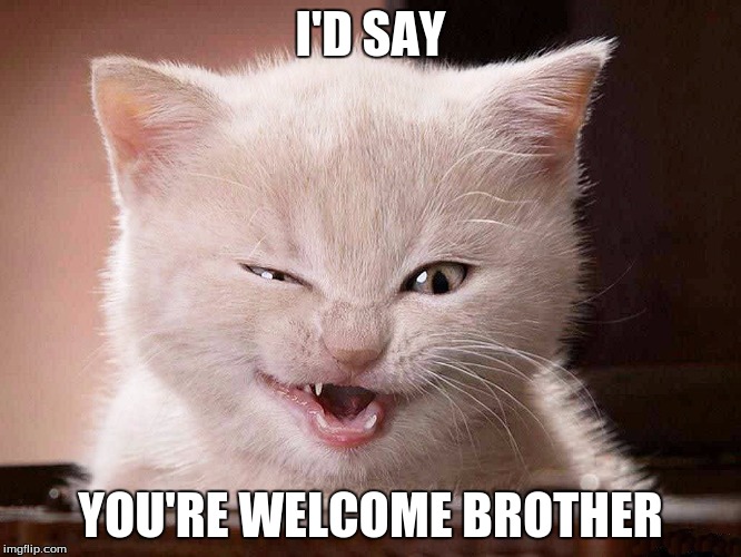 I'D SAY YOU'RE WELCOME BROTHER | made w/ Imgflip meme maker