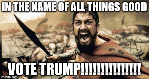 Sparta Leonidas Meme | IN THE NAME OF ALL THINGS GOOD VOTE TRUMP!!!!!!!!!!!!!!! | image tagged in memes,sparta leonidas | made w/ Imgflip meme maker