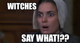 WITCHES; SAY WHAT!?? | image tagged in crucible | made w/ Imgflip meme maker