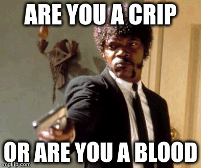 Say That Again I Dare You Meme | ARE YOU A CRIP; OR ARE YOU A BLOOD | image tagged in memes,say that again i dare you | made w/ Imgflip meme maker