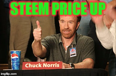 Chuck Norris Approves Meme | STEEM PRICE UP | image tagged in memes,chuck norris approves | made w/ Imgflip meme maker