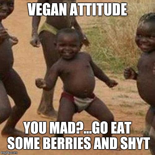 Third World Success Kid | VEGAN ATTITUDE; YOU MAD?...GO EAT SOME BERRIES AND SHYT | image tagged in memes,third world success kid | made w/ Imgflip meme maker