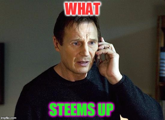 Liam Neeson Taken 2 Meme | WHAT; STEEMS UP | image tagged in memes,liam neeson taken 2 | made w/ Imgflip meme maker