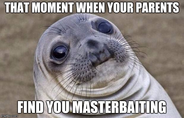 Awkward Moment Sealion Meme | THAT MOMENT WHEN YOUR PARENTS; FIND YOU MASTERBAITING | image tagged in memes,awkward moment sealion | made w/ Imgflip meme maker