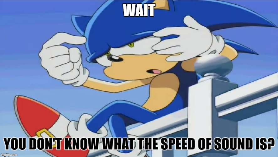 Sonic Can't Remember - Sonic X | WAIT; YOU DON'T KNOW WHAT THE SPEED OF SOUND IS? | image tagged in sonic can't remember - sonic x,sanic,sonic x,sonic the hedgehog | made w/ Imgflip meme maker