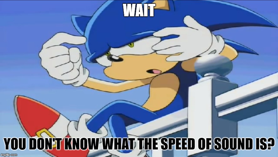 memes on X: SHE Sonic  / X