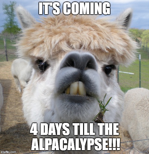 IT'S COMING; 4 DAYS TILL THE ALPACALYPSE!!! | image tagged in alpaca | made w/ Imgflip meme maker