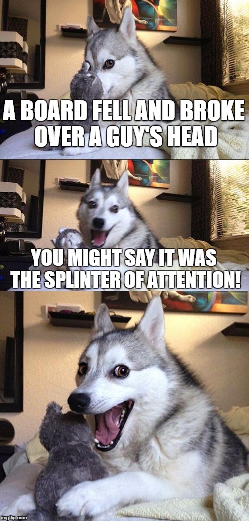 Bad Pun Dog | A BOARD FELL AND BROKE OVER A GUY'S HEAD; YOU MIGHT SAY IT WAS THE SPLINTER OF ATTENTION! | image tagged in memes,bad pun dog | made w/ Imgflip meme maker