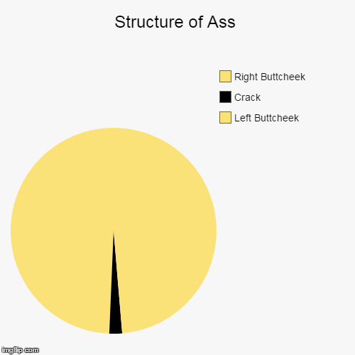 image tagged in funny,pie charts,nsfw,how our ass looks like on pie charts,ass,structure | made w/ Imgflip chart maker