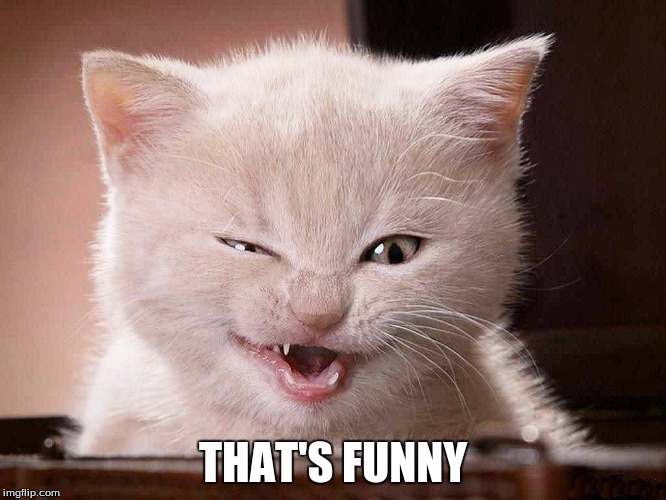 THAT'S FUNNY | made w/ Imgflip meme maker