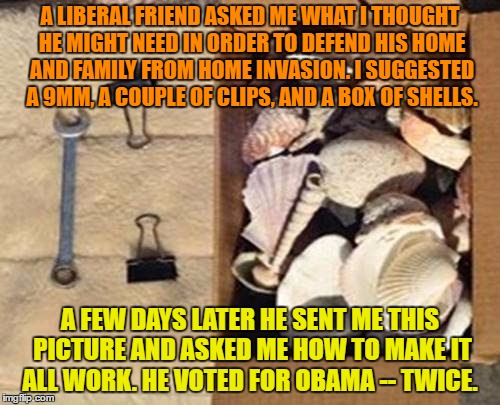 Liberal Logic is Something Else...What I Don't Know | A LIBERAL FRIEND ASKED ME WHAT I THOUGHT HE MIGHT NEED IN ORDER TO DEFEND HIS HOME AND FAMILY FROM HOME INVASION.
I SUGGESTED A 9MM, A COUPLE OF CLIPS, AND A BOX OF SHELLS. A FEW DAYS LATER HE SENT ME THIS PICTURE AND ASKED ME HOW TO MAKE IT ALL WORK.
HE VOTED FOR OBAMA -- TWICE. | image tagged in liberal logic,liberals,guns | made w/ Imgflip meme maker