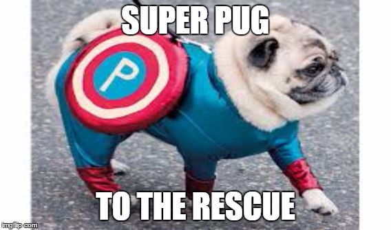 SUPER PUG; TO THE RESCUE | image tagged in superheroes | made w/ Imgflip meme maker