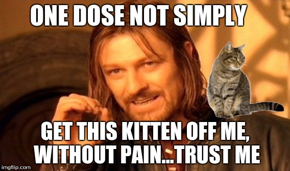 One Does Not Simply | ONE DOSE NOT SIMPLY; GET THIS KITTEN OFF ME, WITHOUT PAIN...TRUST ME | image tagged in memes,one does not simply | made w/ Imgflip meme maker