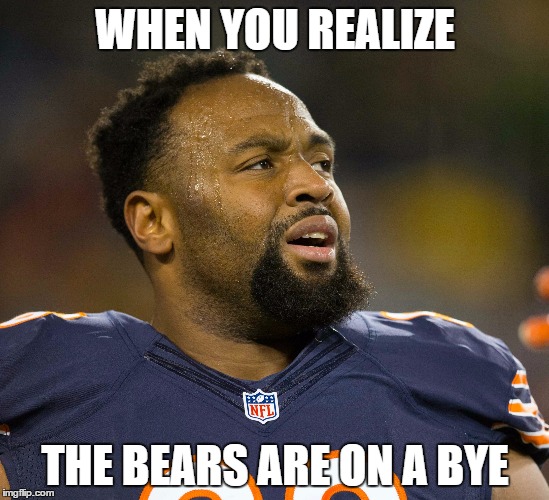 WHEN YOU REALIZE; THE BEARS ARE ON A BYE | image tagged in bears | made w/ Imgflip meme maker