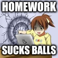 Anime wall punch | HOMEWORK; SUCKS BALLS | image tagged in anime wall punch | made w/ Imgflip meme maker
