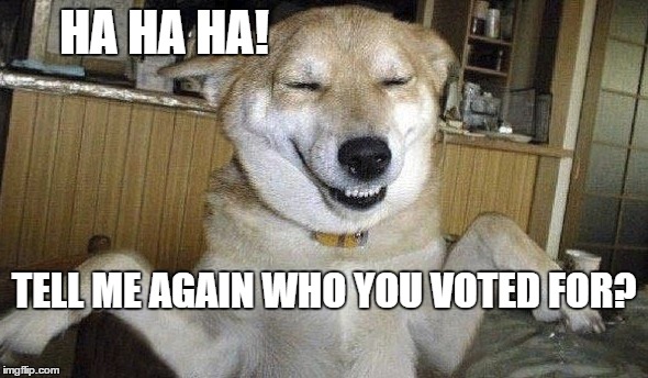 laughing dogs | HA HA HA! TELL ME AGAIN WHO YOU VOTED FOR? | image tagged in laughing dog,dogs,you voted for who,pets,hillary,donald trump | made w/ Imgflip meme maker