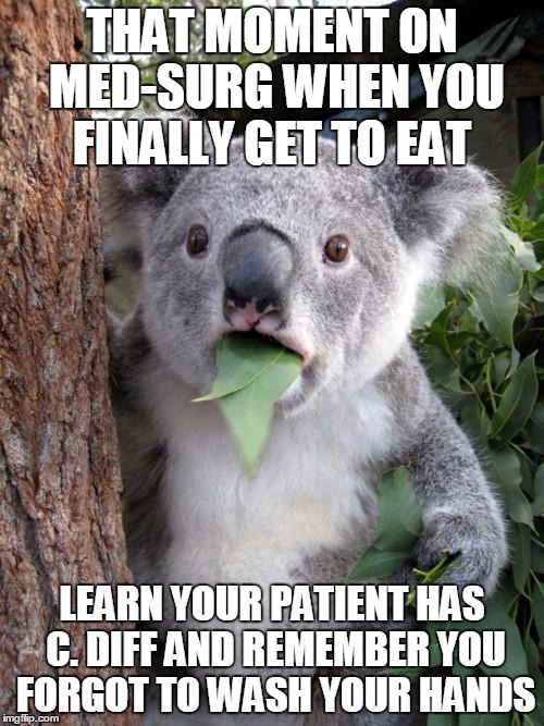 Ahhh Crap. #C.diff | THAT MOMENT ON MED-SURG WHEN YOU FINALLY GET TO EAT; LEARN YOUR PATIENT HAS C. DIFF AND REMEMBER YOU FORGOT TO WASH YOUR HANDS | image tagged in memes,surprised koala,shitty,diarrhea,infection,germs | made w/ Imgflip meme maker