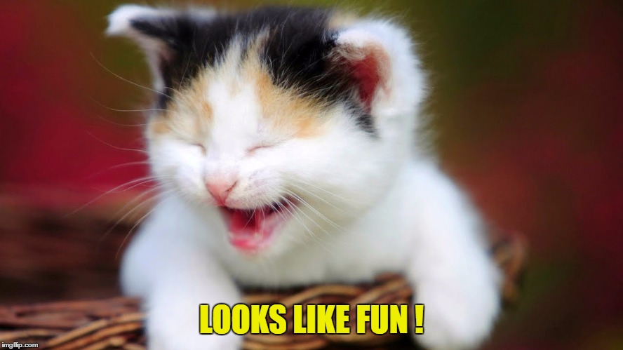 LOOKS LIKE FUN ! | made w/ Imgflip meme maker