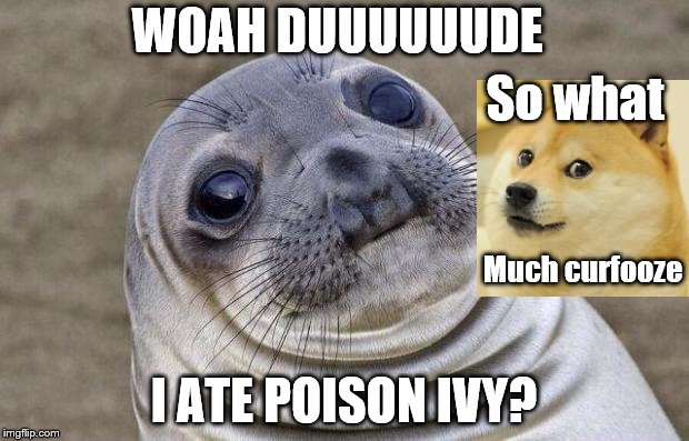 The mistake | WOAH DUUUUUUDE; So what; Much curfooze; I ATE POISON IVY? | image tagged in memes,awkward moment sealion | made w/ Imgflip meme maker