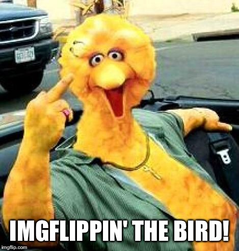 The Bird | IMGFLIPPIN' THE BIRD! | image tagged in big bird,memes,imgflip | made w/ Imgflip meme maker