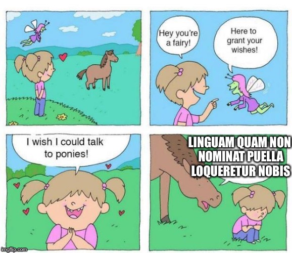 So you want to talk to ponies... Be sure to specify what language tho... | LINGUAM QUAM NON NOMINAT PUELLA LOQUERETUR NOBIS | image tagged in talk to ponies | made w/ Imgflip meme maker