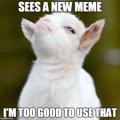 SEES A NEW MEME; I'M TOO GOOD TO USE THAT | made w/ Imgflip meme maker