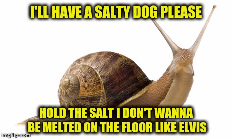 I'LL HAVE A SALTY DOG PLEASE HOLD THE SALT I DON'T WANNA BE MELTED ON THE FLOOR LIKE ELVIS | made w/ Imgflip meme maker