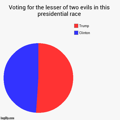 image tagged in funny,pie charts,presidential race | made w/ Imgflip chart maker