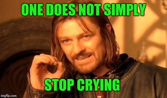 One Does Not Simply Meme | ONE DOES NOT SIMPLY STOP CRYING | image tagged in memes,one does not simply | made w/ Imgflip meme maker
