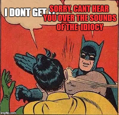 Batman Slapping Robin Meme | I DONT GET IT SORRY, CANT HEAR YOU OVER THE SOUNDS OF THE  IDIOCY | image tagged in memes,batman slapping robin | made w/ Imgflip meme maker