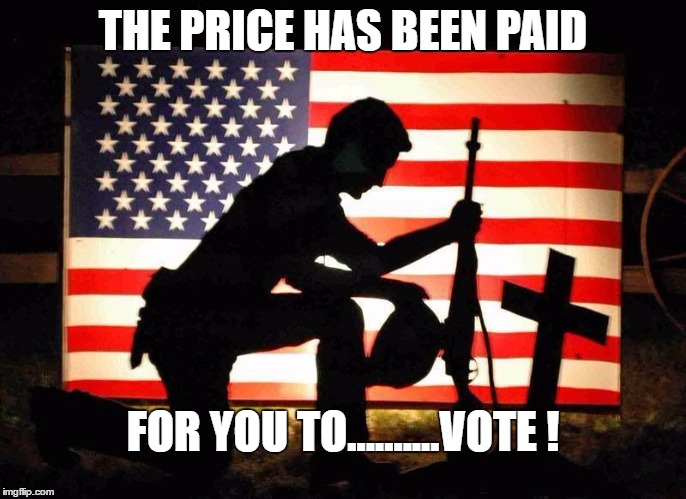 Fallen Soldier | THE PRICE HAS BEEN PAID; FOR YOU TO..........VOTE ! | image tagged in fallen soldier | made w/ Imgflip meme maker