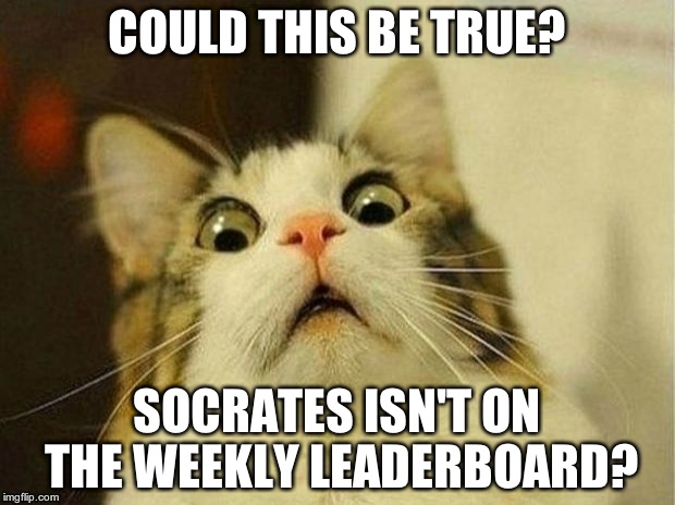 Whaaaaaaat? | COULD THIS BE TRUE? SOCRATES ISN'T ON THE WEEKLY LEADERBOARD? | image tagged in memes,scared cat | made w/ Imgflip meme maker