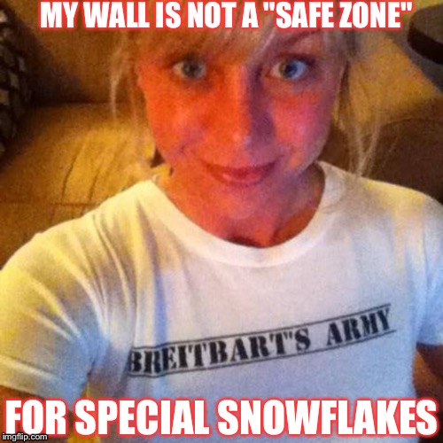 MY WALL IS NOT A "SAFE ZONE"; FOR SPECIAL SNOWFLAKES | image tagged in trump | made w/ Imgflip meme maker
